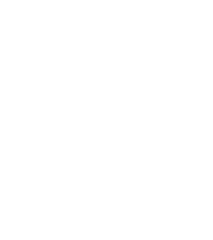 Infection,Dislocation,Restrictions on sports activity,High mdedical costs,Revision surgery